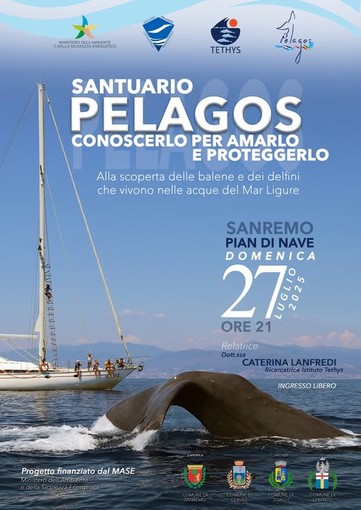Alla scoperta delle balene e dei delfini che vivono nel mar ligure: incontro a Sanremo il 27 luglio Alla scoperta delle balene e dei delfini che vivono nel mar ligure: incontro a Sanremo il 27 luglio