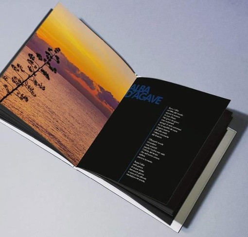 Ventimiglia: venerdì prossimo ai Giardini Hanbury, presentazione del libro di Poesia e Fotografia 'La Poesia dell’Istante' Ventimiglia: venerdì prossimo ai Giardini Hanbury, presentazione del libro di Poesia e Fotografia 'La Poesia dell’Istante'