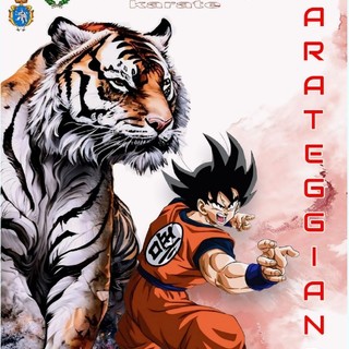 Sabato 22 giugno evento speciale per il Fudoshin Karate Liguria tra Riva Ligure e Santo Stefano al Mare (foto)