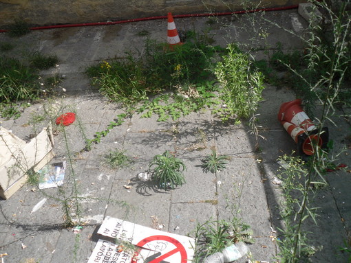 Lavori in Piazza Nota a Sanremo: "Ripristinate al più presto l’area dei lavori!" Lavori in Piazza Nota a Sanremo: "Ripristinate al più presto l’area dei lavori!"