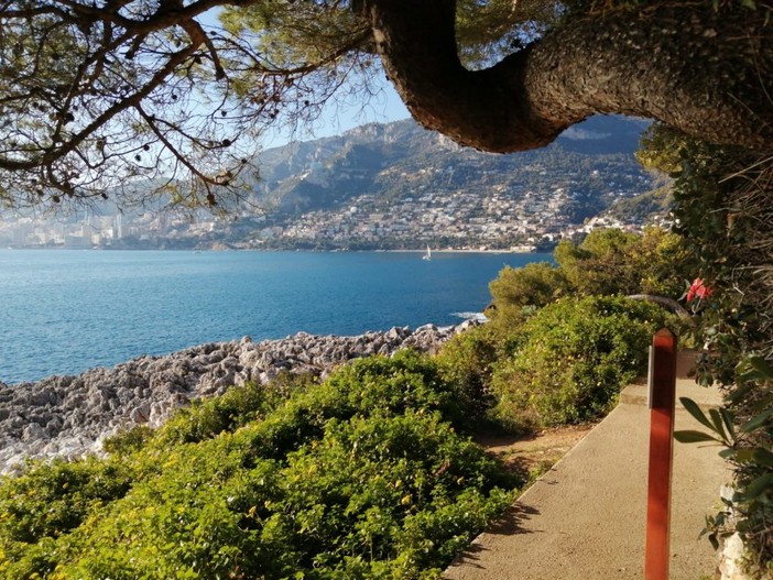 Da Roquebrune a Montecarlo sul sentiero dei doganieri in Costa Azzura Da Roquebrune a Montecarlo sul sentiero dei doganieri in Costa Azzura