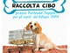 Taggia: sabato da Fortesan raccolta di cibo con i volontari Enpa per i cani ed i gatti del rifugio di strada San Pietro