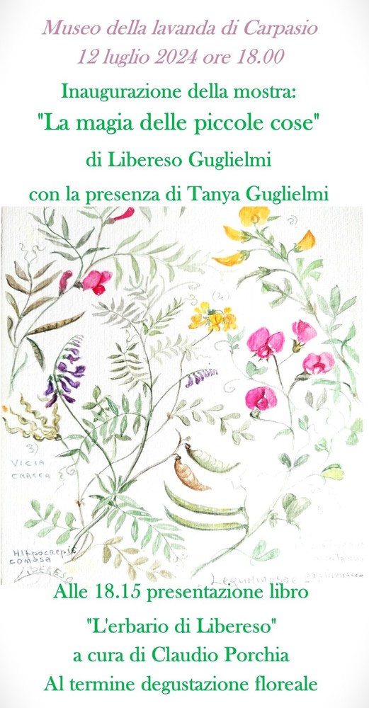 Carpasio "La magia delle piccole cose" di Libereso Guglielmi al Museo della lavanda di Carpasio dal 12 luglio al 31 agosto. Carpasio "La magia delle piccole cose" di Libereso Guglielmi al Museo della lavanda di Carpasio dal 12 luglio al 31 agosto.
