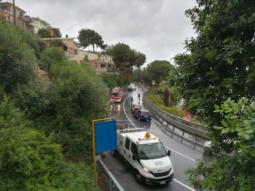 Maltempo, ramo pericolante blocca il traffico a Cervo Maltempo, ramo pericolante blocca il traffico a Cervo