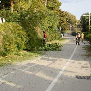 Da Sanremo a Santo Stefano al Mare proseguono i lavori di manutenzione sulla ciclabile Da Sanremo a Santo Stefano al Mare proseguono i lavori di manutenzione sulla ciclabile