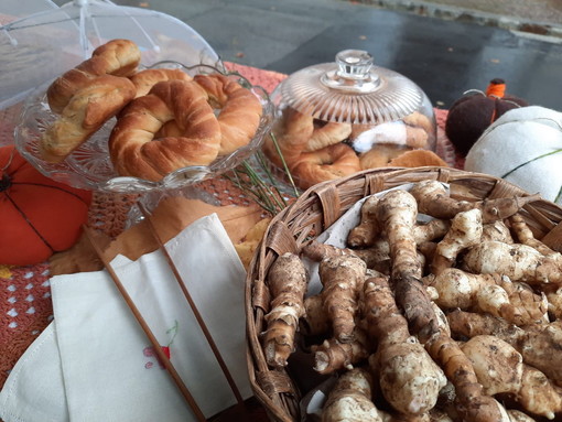 Bajardo: domenica prossima, giornata dedicata al bosco ed ai suoi frutti a cura di Comune e Biblioteca