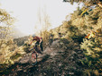 Un percorso in mountain bike