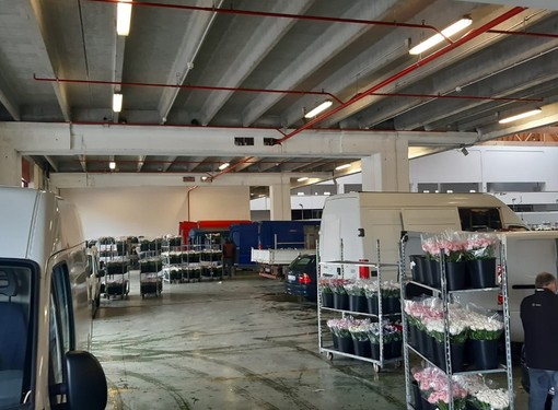 Sanremo: gli operatori del settore floricolo chiedono uno spazio più ampio al Mercato dei Fiori Sanremo: gli operatori del settore floricolo chiedono uno spazio più ampio al Mercato dei Fiori