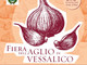 Vessalico (IM): iniziata la raccolta dell’aglio mentre fervono i preparativi per la grande festa del 2 e 3 luglio.