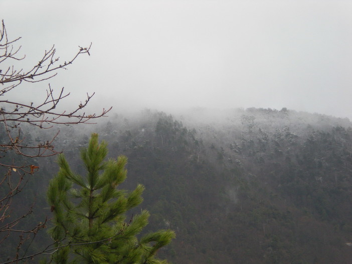 Sanremo: la foto di un lettore della cima di Monte Bignone imbiancata dalla neve