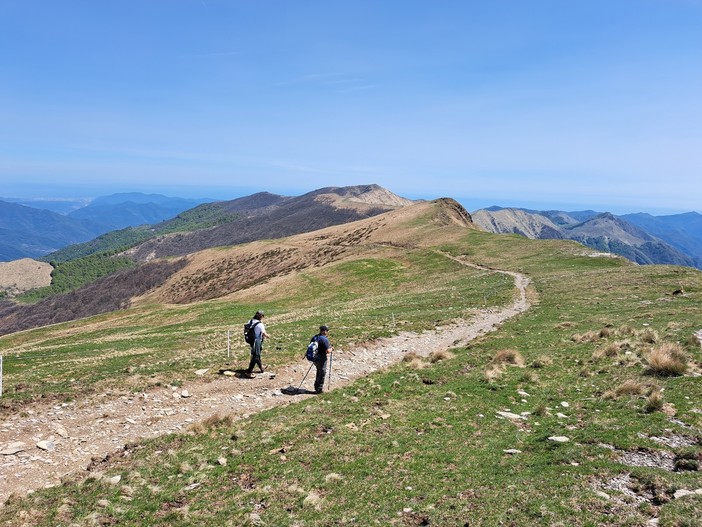 Nuova segnaletica per i sentieri del Parco Alpi Liguri: investimento per la valorizzazione e messa in sicurezza degli itinerari Nuova segnaletica per i sentieri del Parco Alpi Liguri: investimento per la valorizzazione e messa in sicurezza degli itinerari