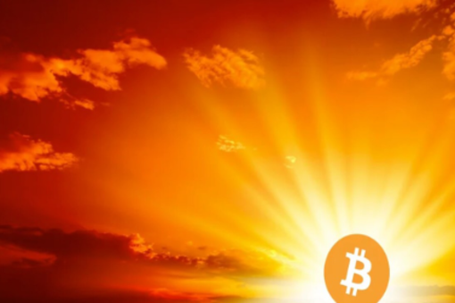 Le 3 meme coin di agosto da monitorare sotto l'ombrellone