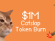 Catslap brucia 1 milione di dollari in SLAP per dare il via alla bull run delle meme coin nel 2025