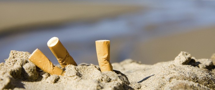 Imperia: il consiglio comunale boccia la mozione sulla spiaggia 'Smoke Free', Bencardino "Noi contro al proibizionismo" Imperia: il consiglio comunale boccia la mozione sulla spiaggia 'Smoke Free', Bencardino "Noi contro al proibizionismo"