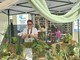 Sanremo, a MareCultura l’arte del Kokedama con Alessandra Patruno per promuovere l'Arti-Turismo Sanremo, a MareCultura l’arte del Kokedama con Alessandra Patruno per promuovere l'Arti-Turismo