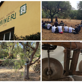 Al via a Imperia i corsi dell’Istituto tecnico superiore a indirizzo agroalimentare, Giacomo Rinaldi (Raineri): "Opportunità importante per il territorio"