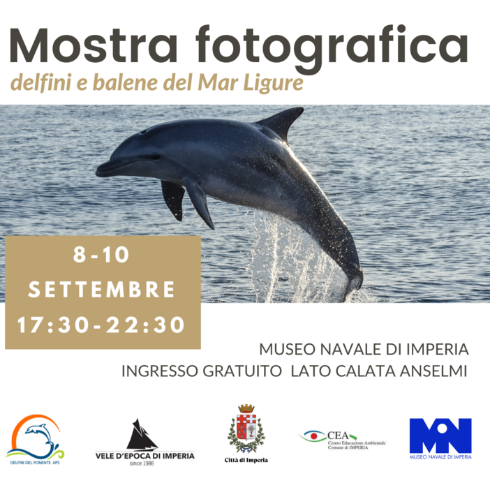 Raduno, balene e delfini sbarcano alle Vele D’Epoca di Imperia