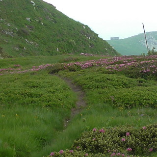 Domenica prossima, escursione ad anello nel Monte Grosso guide ambientali di Ponente Experience Domenica prossima, escursione ad anello nel Monte Grosso guide ambientali di Ponente Experience