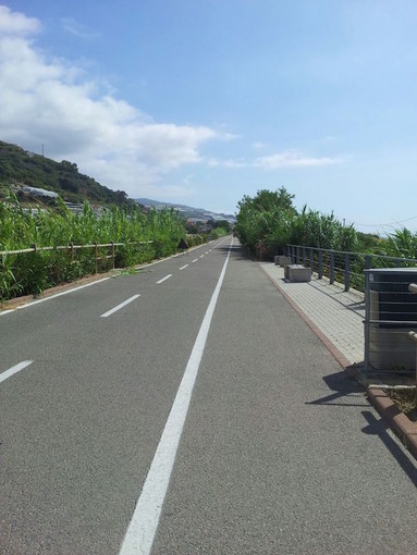 Area 24 organizza una gara d'appalto per la manutenzione straordinaria della vegetazione sulla pista ciclabile