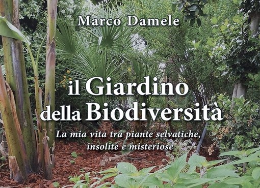 Camporosso, oltre 200 specie vegetali all'interno del 'giardino della biodiversità' di Marco Damele Camporosso, oltre 200 specie vegetali all'interno del 'giardino della biodiversità' di Marco Damele