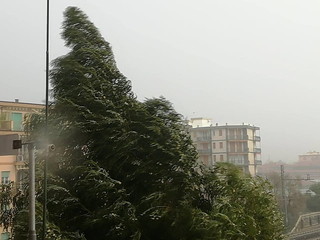 Le immagini da Vallecrosia