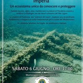 Immersioni subacquee e monitoraggio dei fondali con il Borgo Marina Diving di Imperia