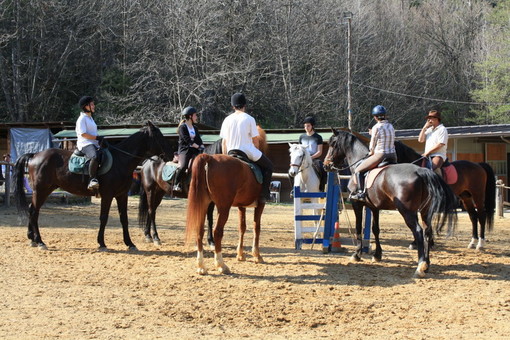 Sanremo: spostati al Campo Ippico del Solaro i cinque cavalli del Parco Naturale S.Romolo, 8.500 euro per poco più di due mesi Sanremo: spostati al Campo Ippico del Solaro i cinque cavalli del Parco Naturale S.Romolo, 8.500 euro per poco più di due mesi