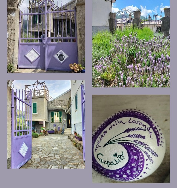 Pomeriggio in Poesia al Museo della Lavanda di Carpasio