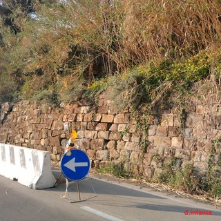 Sanremo: Infante (Pd) “Più attenzione e tempismo per la manutenzione straordinaria della pista ciclabile”