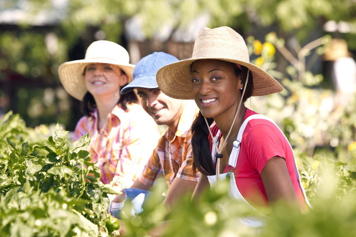 Formazione, Opportunità e Risorse per Migranti in Agricoltura: il progetto F.O.R.M.A. nell’Unione dei Comuni delle Valli Argentina e Armea