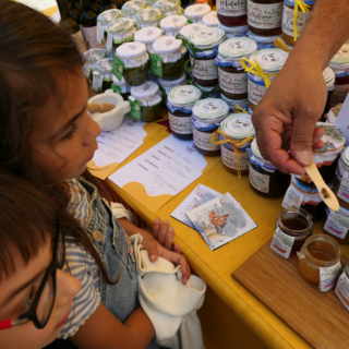 Miele ligure, Coldiretti: "Nel 2024 invasione di prodotto estero (+16%)"