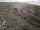 Bordighera: la mareggiata fa danni, sulle spiagge lasciata una 'marea' di bottiglie di plastica Bordighera: la mareggiata fa danni, sulle spiagge lasciata una 'marea' di bottiglie di plastica