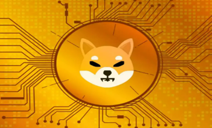 SHIB a un passo dal boom? Le nuove funzionalità che potrebbero far decollare il prezzo SHIB a un passo dal boom? Le nuove funzionalità che potrebbero far decollare il prezzo