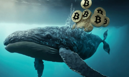 Una Bitcoin Whale piazza una scommessa short da 368 milioni di dollari con leva 40x prima del FOMC