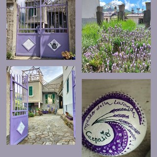 Pomeriggio in Poesia al Museo della Lavanda di Carpasio