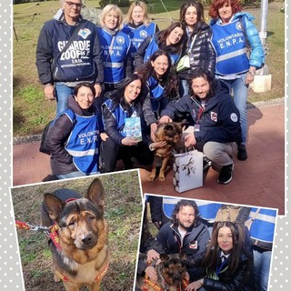 L'Enpa di Sanremo ha incontrato Marley supercane ospite a Casa Sanremo L'Enpa di Sanremo ha incontrato Marley supercane ospite a Casa Sanremo