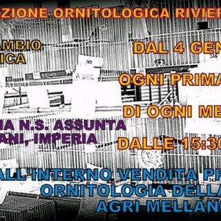 Imperia: domani il via alle cene dell'associazione ornitologica 'Riviera dei Fiori' di Imperia Imperia: domani il via alle cene dell'associazione ornitologica 'Riviera dei Fiori' di Imperia