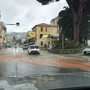 Maltempo, pochi temporali nel Ponente ma da domani torna la pioggia: non è esclusa una nuova allerta meteo Maltempo, pochi temporali nel Ponente ma da domani torna la pioggia: non è esclusa una nuova allerta meteo