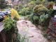 Il torrente San Romolo a Sanremo