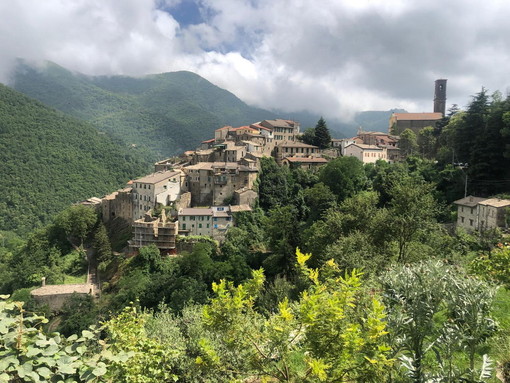 Montalto Carpasio: al via le passeggiate botaniche tra erbe e lavande organizzate dal museo Montalto Carpasio: al via le passeggiate botaniche tra erbe e lavande organizzate dal museo
