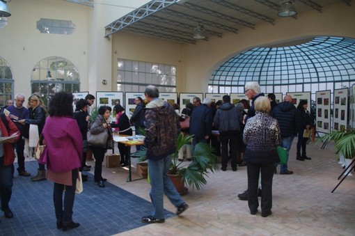 Sanremo: da domani alla sede del CREA-FSO, mostra 'Foto e semi di Leguminose'