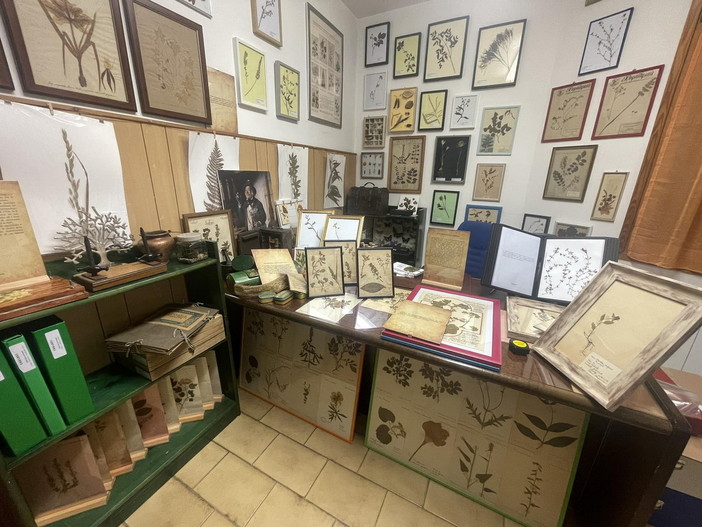 Marco Damele: il custode delle erbe. Come ha raccolto e catalogato oltre 4000 specie di piante essiccate