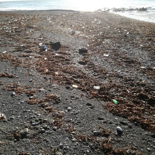 Bordighera: la mareggiata fa danni, sulle spiagge lasciata una 'marea' di bottiglie di plastica Bordighera: la mareggiata fa danni, sulle spiagge lasciata una 'marea' di bottiglie di plastica