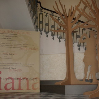 Diano Marina: il bosco sacro del Lucus Bormani rivive nel museo civico grazie al progetto 'Accessit' Diano Marina: il bosco sacro del Lucus Bormani rivive nel museo civico grazie al progetto 'Accessit'