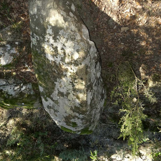 Sanremo: a Monte Bignone un menhir e un altare sacrificale che ricordano l'infanzia delle nostre origini