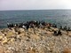 Un gruppo di migranti sugli scogli Un gruppo di migranti sugli scogli