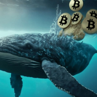 Una Bitcoin Whale piazza una scommessa short da 368 milioni di dollari con leva 40x prima del FOMC