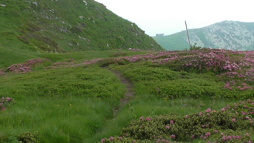 Domenica prossima, escursione ad anello nel Monte Grosso guide ambientali di Ponente Experience Domenica prossima, escursione ad anello nel Monte Grosso guide ambientali di Ponente Experience