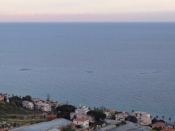 Sanremo: tre chiazze scure avvistate in mare di fronte alle spiagge dei 'Tre Ponti', sono piccole meduse
