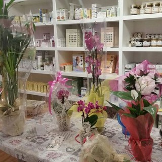 Tornare in forma dopo l'estate e prevenire le influenze stagionali: dalla naturopata Monica Mazzone di "Salute Benessere Essere" consulenze a 360° Tornare in forma dopo l'estate e prevenire le influenze stagionali: dalla naturopata Monica Mazzone di "Salute Benessere Essere" consulenze a 360°